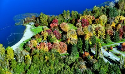 Lake Sammamish State Park in the fall, Lake Washington, Issaquah, Washington 184