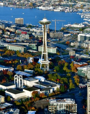 Fall Colors around Space Needle, Pacific Science Center, KOMO NEWS, Gates Foundation Buildings, Lake Union Park,  Seattle