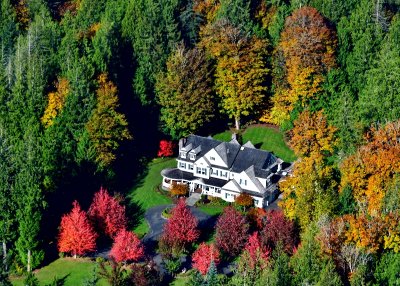 Pacific Northwest Autumn in Snoqualmie River Valley, Carnation, Washington 146
