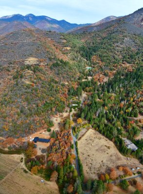 Autumn Colors on Wellington Butte, Applegate Valley, Applegate, Oregon 260  