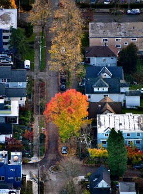 Colorful Street in Seattle, Washington 389