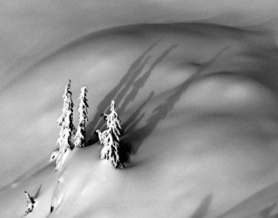 Playing with Shadows on Mount Index, Cascade Mountains, Washington 216 Large e-mail view.jpg