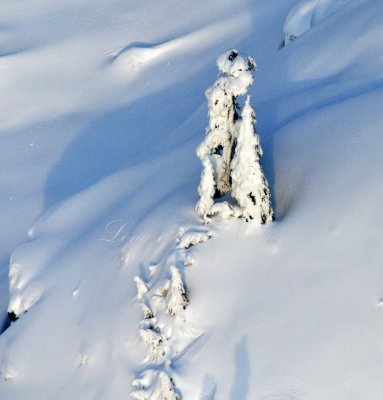 Last Minute Motherly Advice on the Slope, Cascade Mountains, Washington 275  