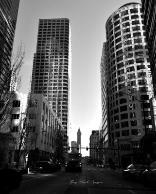 Smith Tower and Seattle Skyline on 2nd Ave, Seattle, Washington 012  