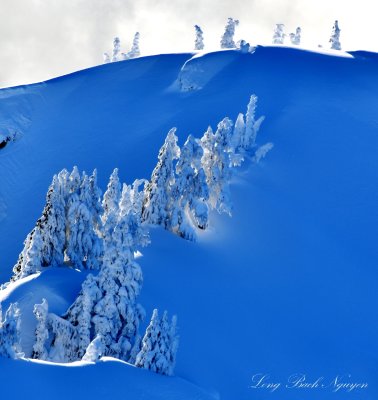 Mount WoW landscape, Near Mount Rainier National Park, Cascade Mountains, Washinton 844 