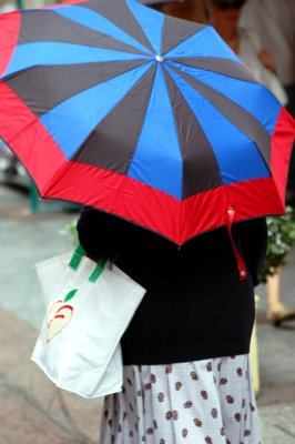 Umbrella in Paris France 001  
