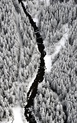 Sultan River, Near Morning Star Peak and Vesper Peak, Cascade Mountains, Washington 667  