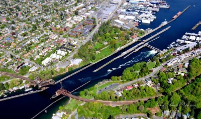 Ballard (Hiram M. Chittenden) Locks, Carl S. English Jr. Botanical Garden, Ballard Locks Fish Ladder, Salmon Bay Bridge, 