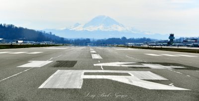 Boeing Field Runway 14R KBFi, Mount Rainier, King County International Airport, Seattle, Washington 081  