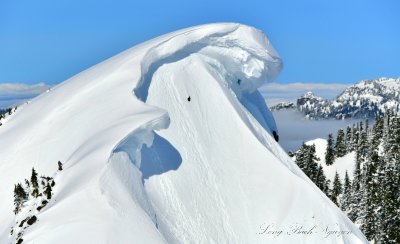 Praying Ladies on Red Mountain, Cascade Mountains, Washington 293 