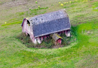 Abandoned Red Barn on Fir Island, Skagit Valley, Conway, Washington 139 