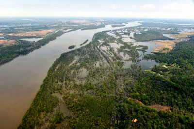 Mississippi River, Fairchilds Island, Mercer Island, Big Blue Hole, Lake St John, Louisiana, Mississippi 581
