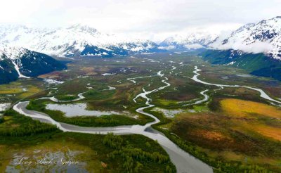 Placer River Valley, Chugach Mountain, Portage, Alaska 131  
