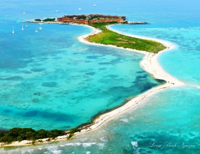 Fort Jefferson, Dry Tortugas National Park , Bush Key, Long Key,  Key West, Florida Keys, Florida 346a