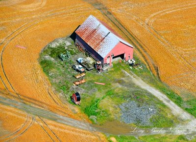 Red Barn in Orange Field off Flats Road,  Skagit Valley, Mount Vernon, Washington 244  