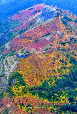 East Canyon Ridge, Cascade Mountains, Washington 772  