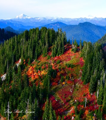 Captain Point Fall Colors, Glacier Peak, Cascade Mountains, Washington 1231  