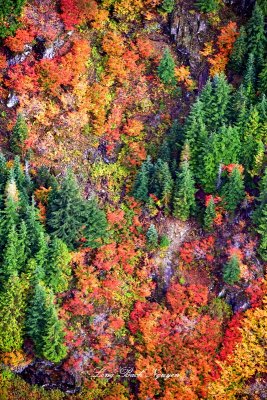 McClain Peaks in Autumn, Cascade Mountains, Washington 116  