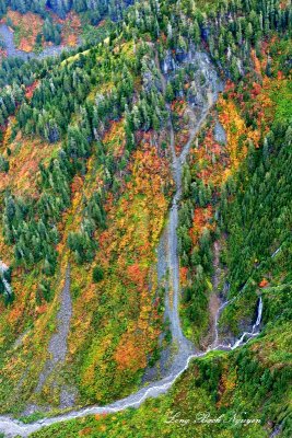 Fall Colors on North Slope of McClain Peaks, Washington 283  