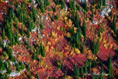 Autumn Colors on Bulls Tooth, Cascade Mountains, Washington 1435  