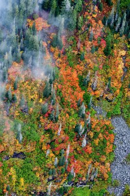 Crosby Mountain Fall Colors, Washington 378  