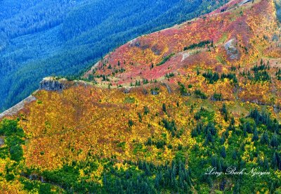 Fall Colors on Jumbo Peak, Cascade Mountains, Washington 761  