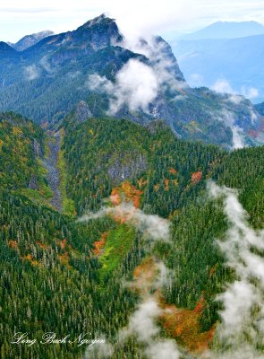 Fall Colors around Salmon Red and Red Mountain, across Mount Phelps and McLain Peak, Cacasde Mountains, Washington 290