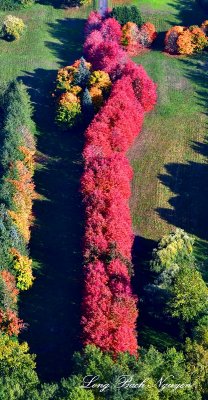 Beautiful Fall Colors at Rockwood Farm, Snoqualmie, Washington 802  