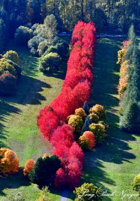 Beautiful Fall Colors at Rockwood Farm, Snoqualmie, Washington 680 