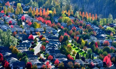 Sammanish Neighborhood in Autumn, Washington 353  