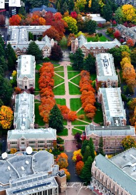 Fall Colors at The Quad University of Washington, Seattle, Washington 456 