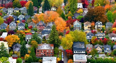 Colorful Fall Colors around 15th Ave E of Capitol Hill Neighborhood, Seattle, Washington 061a 