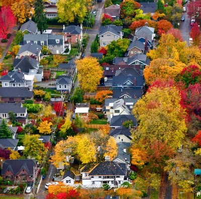 Fall Colors around Capitol Hill Neighborhood of Seattle, Washington 071  