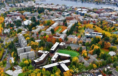 Fall Colors around The University of Washington Neighborhood, Portage Bay, Seattle, Washington 186 