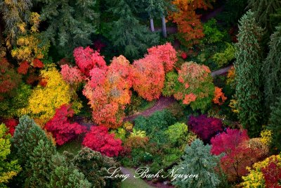Autumn Colors in the Washington Park Arboretum UW Botanic Gardens, Seattle, Washington 173 