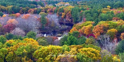 Mansfield Hollow State Park, Natchaug River, Mansfield, Connecticut 1148 
