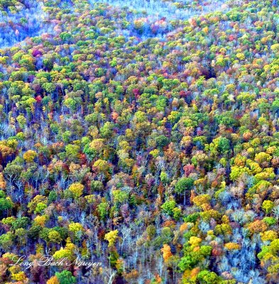 Beaver Brook State Park Scenic Reserve, North Windham, Connecticut 3862 