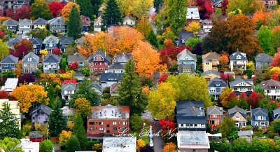 Colorful Fall Colors around 15th Ave E of Capitol Hill Neighborhood, Seattle, Washington 061a 