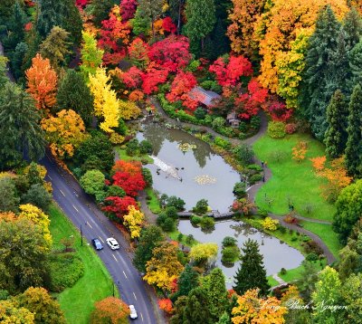 Seattle Japanese Garden, Washington Park Arboretum UW Botanic Gardens, Seattle, Washington 317  