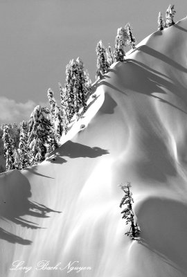 Excuse Me I am over Here on Ragged Ridge, Cascade Mountains, Gold Bar, Washington 255 