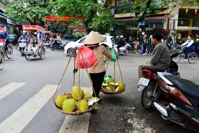All Mode of Businesses in Hanoi Old Quarter, Vietnam 464  