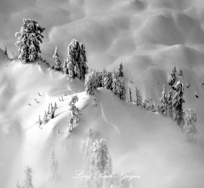 Winter Wonderland on Crosby Mountain, Washington 498  