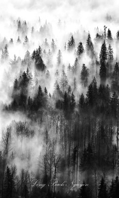 Fog Above Snoqualmie Valley, Duvall, Washington 221 