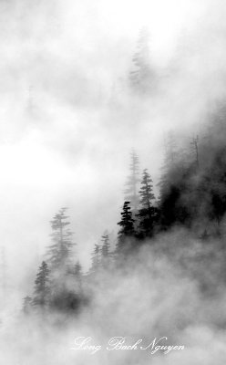 Land of Enchantment along Cascade Mountains, South Fork South Prairie Creek Washington 197  