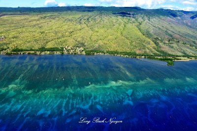 Coral Reef off Molokai, Hawaii 387  