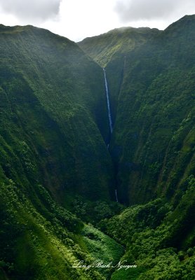 Papalaua Falls, Papalaua Valley, Molokai, Hawaii 029 