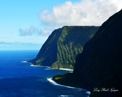 Molokai Cliff, Molokai, Pacific Ocean, Hawaii 056  