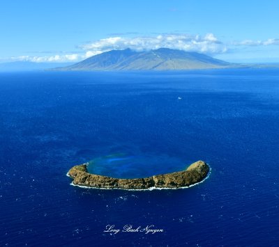 Molokini Crater, Kealaloloa Ridge, West Maui Forest Reserve, Maui, Hawaii 853  