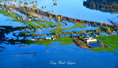Flooding in Snoqualmie River Valley and Cherry Valley, Snoqualmie River, Duvall, Washington 495  