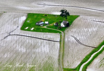 Small Green Space on Farm off LaCooner-Whitney Road, La Conner, Washington 409 